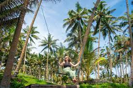 Digital Nomad