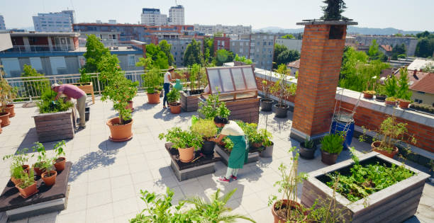 urban farming